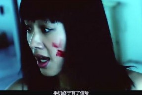 国产性虐,探索社会现象与人性冲突的深度剖析